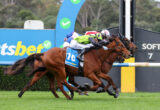 Jockeys riding competing racehorses neck-and-neck on a green turf track during a race, close to the finish line.