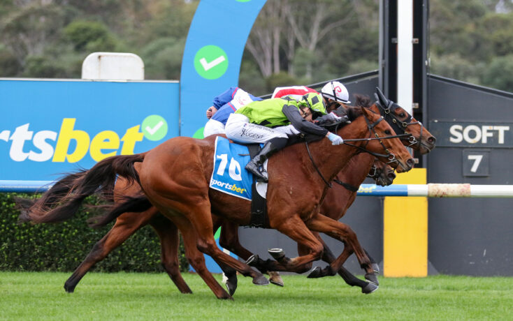 Jockeys riding competing racehorses neck-and-neck on a green turf track during a race, close to the finish line.