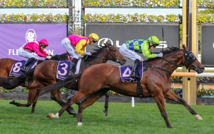 Three jockeys in bright pink, yellow, and green silks race side by side on a grassy turf track, leaning forward in full sprint.