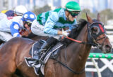 Jockey in green and blue silks racing a dark horse over a fence amid competing riders on a sunlit track.