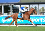 Chestnut racehorse with jockey in blue and yellow silks clearing a hurdle at a racecourse fence, sportsbook banners in background.