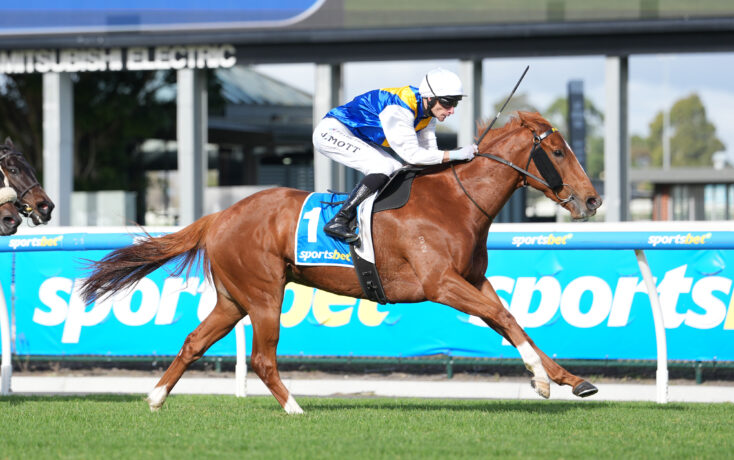 Chestnut racehorse with jockey in blue and yellow silks clearing a hurdle at a racecourse fence, sportsbook banners in background.