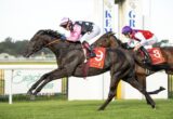 Black Thoroughbred leads a horse race with a jockey in pink and white silks, wearing number 9 saddle cloth, on a grassy track.