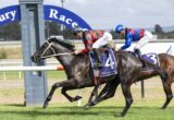 Two jockeys race their horses on a turf track, leaning forward as they sprint past the rails; the leading horse wears a purple saddlecloth marked '4' with Hawkesbury, while a blue-sleeved rider follows.