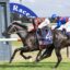 Stormy Marco | Just Horse Racing Two jockeys race their horses on a turf track, leaning forward as they sprint past the rails; the leading horse wears a purple saddlecloth marked '4' with Hawkesbury, while a blue-sleeved rider follows.