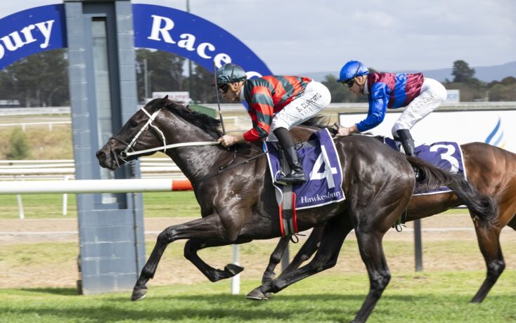 Two jockeys race their horses on a turf track, leaning forward as they sprint past the rails; the leading horse wears a purple saddlecloth marked '4' with Hawkesbury, while a blue-sleeved rider follows.