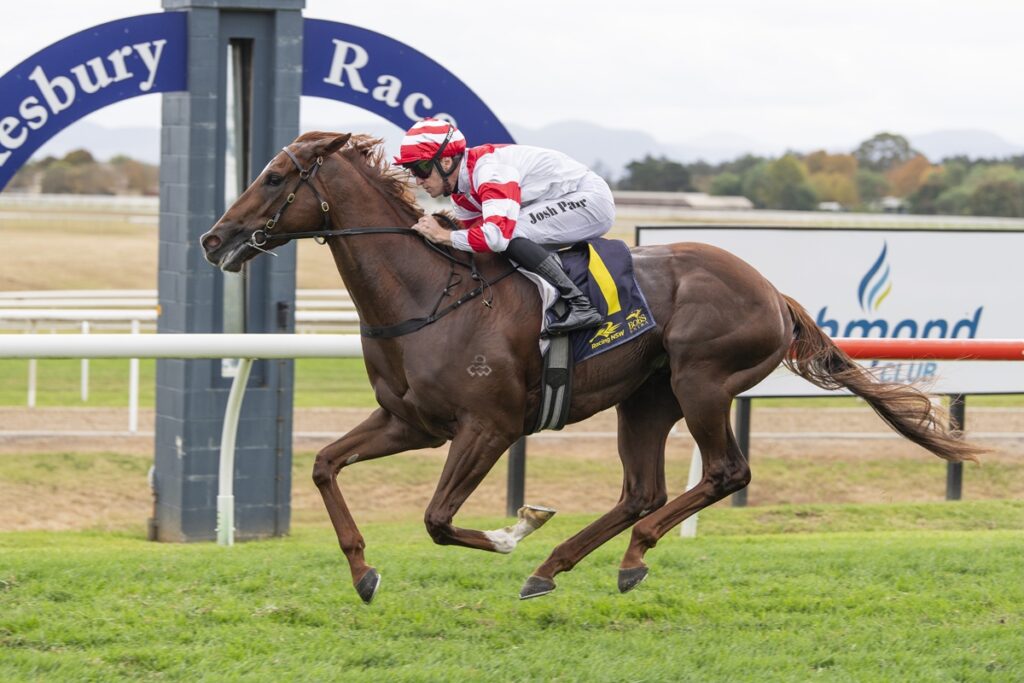Jockey in red-and-white silks rides a galloping brown racehorse on a green turf track with a blue arc in the background, Josh Parr on the saddlecloth.