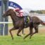 Jockey in red-and-white silks rides a galloping brown racehorse on a green turf track with a blue arc in the background, Josh Parr on the saddlecloth.