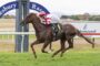 Jockey in red-and-white silks rides a galloping brown racehorse on a green turf track with a blue arc in the background, Josh Parr on the saddlecloth.