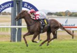 Jockey in red-and-white silks riding a brown racehorse during a race on a grassy track, Josh Parr name visible on silks.