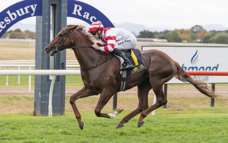 Jockey in red-and-white silks riding a brown racehorse during a race on a grassy track, Josh Parr name visible on silks.