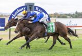 Two thoroughbreds neck-and-neck as jockeys race toward the finish at a racetrack, on a grassy turf.