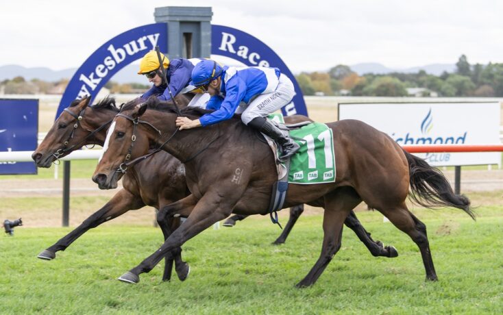 Two thoroughbreds neck-and-neck as jockeys race toward the finish at a racetrack, on a grassy turf.