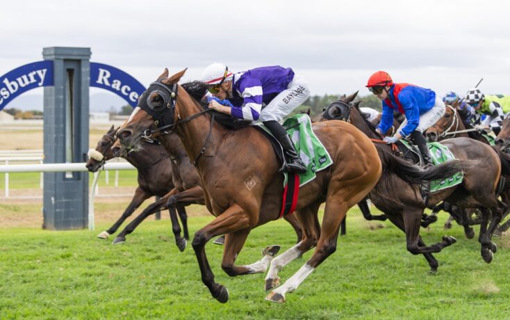 Horses and jockeys sprinting on a green turf track during a race, close behind the lead horse.