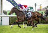 Jockey in purple cap and red-and-white silks rides a brown racehorse with white socks on a grassy turf track, leading a close finish.