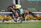 A jockey in a red helmet and yellow silks rides a brown racehorse on a turf track, mid-stride in front of a scoreboard and flowerbeds.