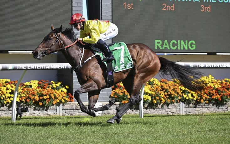 A jockey in a red helmet and yellow silks rides a brown racehorse on a turf track, mid-stride in front of a scoreboard and flowerbeds.