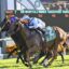 Three racehorses neck-and-neck down the track, jockeys leaning forward in a photo finish moment with a scoreboard in the background.] ,Not good--Oops