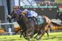 Three racehorses neck-and-neck down the track, jockeys leaning forward in a photo finish moment with a scoreboard in the background.] ,Not good--Oops