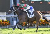 Brown racehorse and jockey in green and red silks sprint toward the finish on a racetrack with flowers along the rail