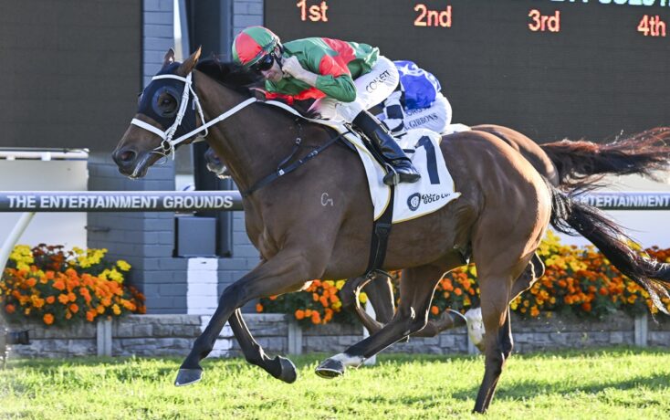 Brown racehorse and jockey in green and red silks sprint toward the finish on a racetrack with flowers along the rail