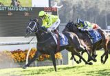 Leading jockey in neon yellow silks on a black horse, sprinting to the finish as two rivals race close behind.