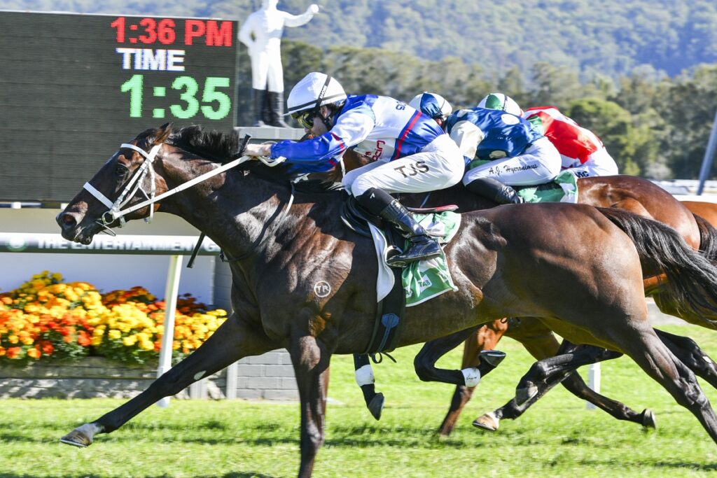 Group of racehorses and jockeys sprint toward the finish line on a sunny track, blue and white silks leading, scoreboard in the background showing time.