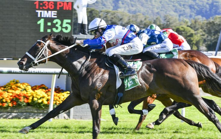 Group of racehorses and jockeys sprint toward the finish line on a sunny track, blue and white silks leading, scoreboard in the background showing time.