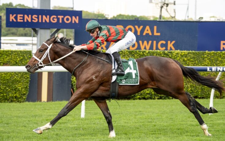 Jockey in green and red silks rides a galloping brown racehorse at Kensington Racecourse, saddlecloth number 4 labeled Vinery Stud in view.