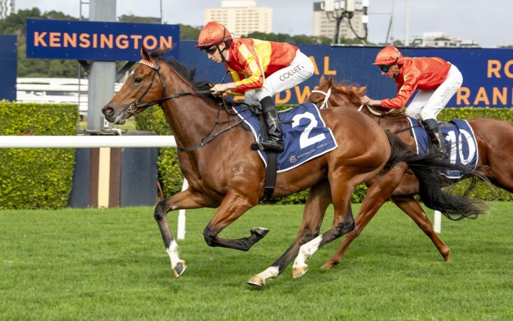 Two jockeys in orange silks ride bay horses during a race at Kensington Racecourse; lead horse wears number 2 saddlecloth.