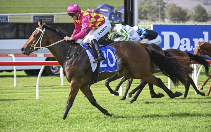 A jockey in pink and yellow silks rides a brown racehorse wearing number 20, leading a sprint on a grassy track.