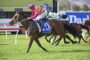 A jockey in pink and yellow silks rides a brown racehorse wearing number 20, leading a sprint on a grassy track.