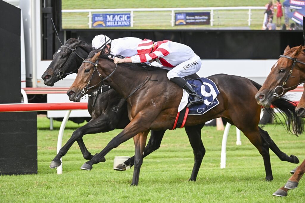 2301858.jpg | Just Horse Racing Jockeys lean forward riding racehorses as they sprint on a grassy track at a close finish behind a red rail fence.
