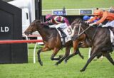 Jockey in maroon and white silks riding a sprinting brown horse near the finish line on a grassy racecourse, another horse close behind in orange and blue silks.