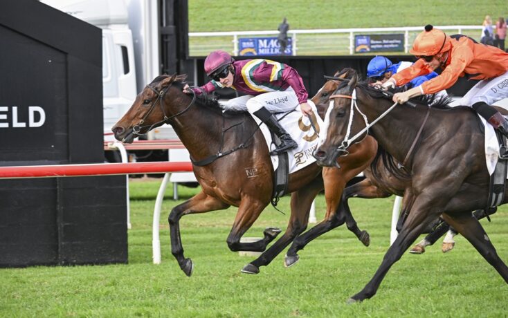 Jockey in maroon and white silks riding a sprinting brown horse near the finish line on a grassy racecourse, another horse close behind in orange and blue silks.