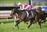 Jockey in white and red silks on a dark brown horse sprinting on a grassy racecourse, leading a pack of rivals.