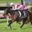 Jockey in white and red silks on a dark brown horse sprinting on a grassy racecourse, leading a pack of rivals.
