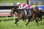Jockey in white and red silks on a dark brown horse sprinting on a grassy racecourse, leading a pack of rivals.