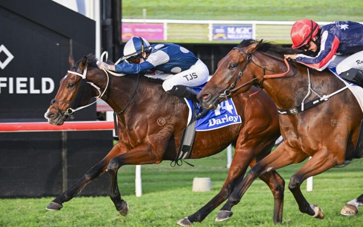 Two jockeys push their thoroughbred horses to the finish line in a tight race; the leading horse wears a blue Darley saddlecloth and white-and-blue silks.