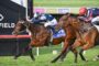 Two jockeys push their thoroughbred horses to the finish line in a tight race; the leading horse wears a blue Darley saddlecloth and white-and-blue silks.