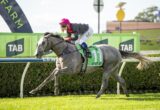 Grey racehorse with a jockey in a pink helmet, green saddle cloth number 11, racing on a sunny track with TAB banners nearby