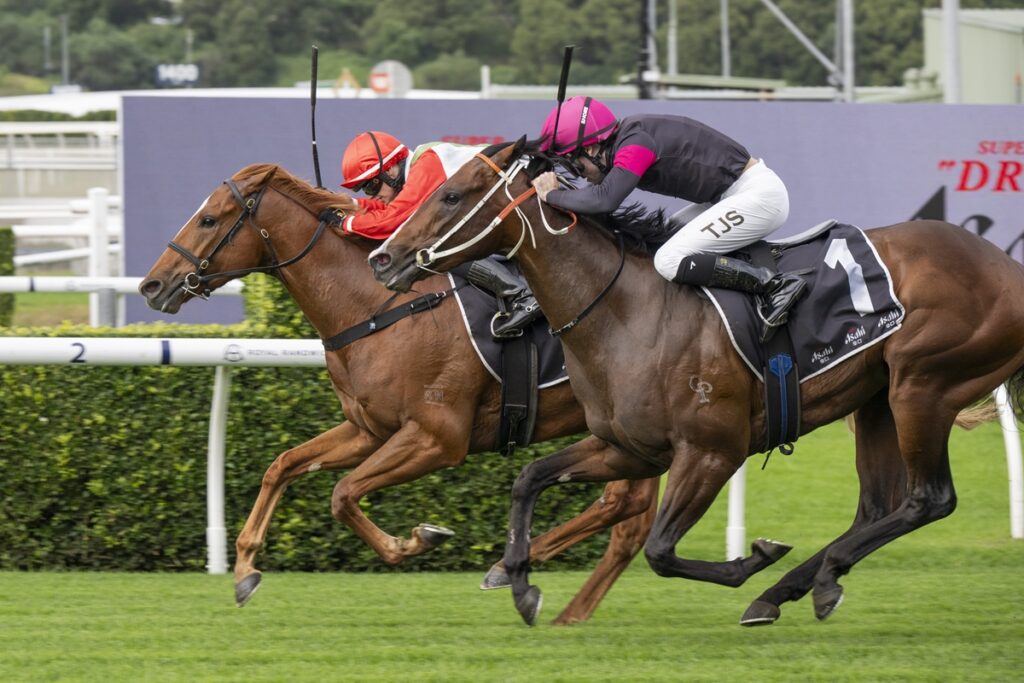 Two jockeys ride sprinting horses neck-and-neck on a grassy turf racecourse; one saddlecloth shows the number 1.