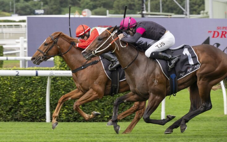 Two jockeys ride sprinting horses neck-and-neck on a grassy turf racecourse; one saddlecloth shows the number 1.