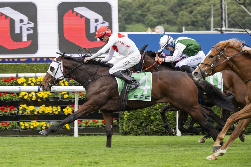 Agent Zero | Just Horse Racing Horses race neck-and-neck on a turf track, lead horse wearing number 4 green saddle cloth as jockeys push for front.