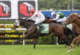 Horses race neck-and-neck on a turf track, lead horse wearing number 4 green saddle cloth as jockeys push for front.