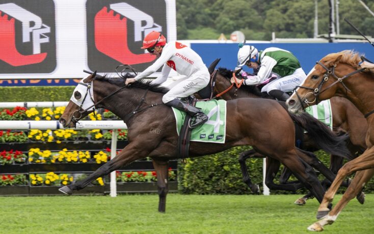 Horses race neck-and-neck on a turf track, lead horse wearing number 4 green saddle cloth as jockeys push for front.