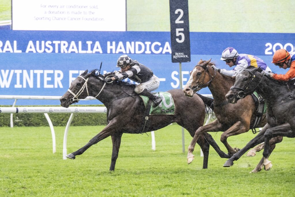 Four jockeys race on a green turf track, lead horse is dark with a white bridle and green saddle cloth, blue banner in background.