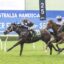 Tazima | Just Horse Racing Four jockeys race on a green turf track, lead horse is dark with a white bridle and green saddle cloth, blue banner in background.