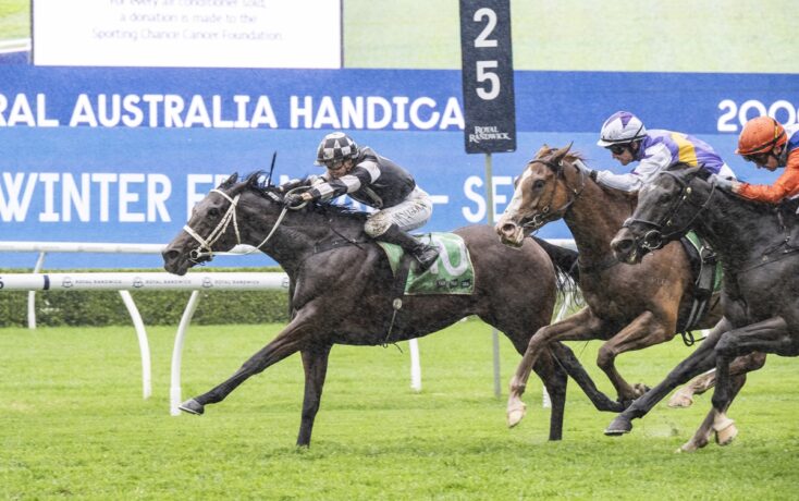 Four jockeys race on a green turf track, lead horse is dark with a white bridle and green saddle cloth, blue banner in background.