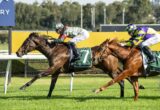 Two jockeys sprint to the finish on a grassy racecourse, leading horse with green saddlecloth and plaid jacket.